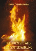 Cover: Der k&uuml;rzeste Weg zur Gotterfahrung - Schwab, Heinrich