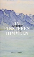 Cover: In finsteren Himmeln - Steidl