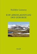 Cover: Ein Angelausflug ins Gebirge - Steidl