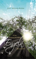 Cover: Von himmlischen Engeln begleitet - Lichtzeichen Verlag