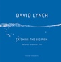 Cover: Catching the Big Fish - Alexander