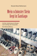 Cover: Mein sch&ouml;nster Stein liegt in Santiago - debux Verlag