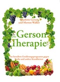 Cover: Das Gro&szlig;e Gerson Buch - MobiWell