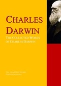 Cover: The Collected Works of Charles Darwin - PergamonMedia