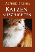 Cover: Katzengeschichten - idb