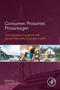 Enlarge image Cover: Consumer, Prosumer, Prosumager - Academic Press