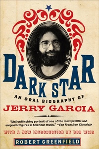 Enlarge image Cover: Dark Star - It Books