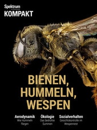 Abbildung von: Spektrum Kompakt - Bienen, Hummeln, Wespen - Spektrum der Wissenschaft