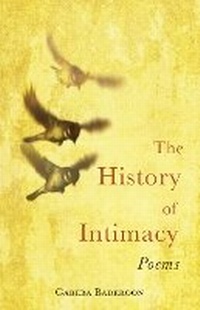 Abbildung von: The history of intimacy - Kwela Books
