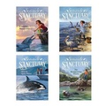 Cover: Seaside Sanctuary - Stone Arch Books