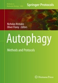 Bild: Autophagy - Humana