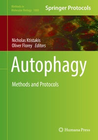 Abbildung von: Autophagy - Humana