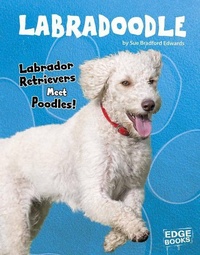 Enlarge image Cover: Labradoodle - Capstone Press