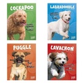 Cover: Top Hybrid Dogs - Capstone Press