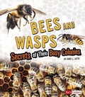 Cover: Bees and Wasps: Secrets of Their Busy Colonies - Capstone Press