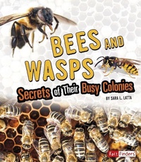 Enlarge image Cover: Bees and Wasps: Secrets of Their Busy Colonies - Capstone Press