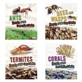 Cover: Amazing Animal Colonies - Capstone Press