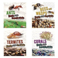 Enlarge image Cover: Amazing Animal Colonies - Capstone Press