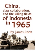 Cover: China, Class Collaboration, and the Killing Fields of Indonesia in 1965 - James Robb