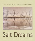 Cover: Salt Dreams - VisionIntoArt