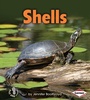 Cover: Shells - Lerner Publications Co ,U.S.
