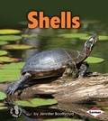 Cover: Shells - Lerner Publications Co ,U.S.