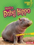 Cover: Meet a Baby Hippo - Lerner Publications Co ,U.S.