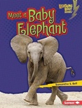 Cover: Meet a Baby Elephant - Lerner Publications Co ,U.S.