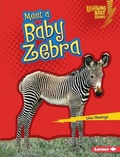 Cover: Meet a Baby Zebra - Lerner Publications Co ,U.S.