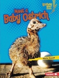 Cover: Meet a Baby Ostrich - Lerner Publications Co ,U.S.