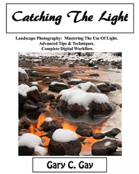 Abbildung von: Catching the Light - BOOKBABY