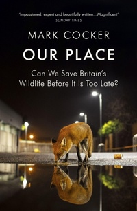 Enlarge image Cover: Our Place - Vintage