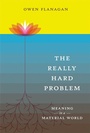 Cover: The Really Hard Problem - Bradford Books