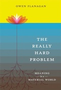 Cover: The Really Hard Problem - Bradford Books