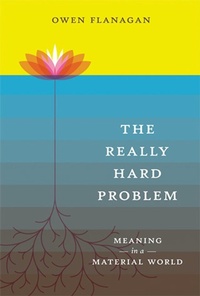 Enlarge image Cover: The Really Hard Problem - Bradford Books