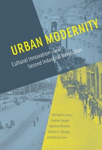 Enlarge image Cover: Urban Modernity - MIT Press