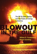 Cover: Blowout in the Gulf - MIT Press