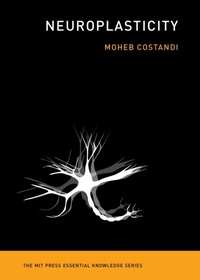 Abbildung von: Neuroplasticity - MIT Press