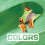 Cover: Colors - Clarion Books