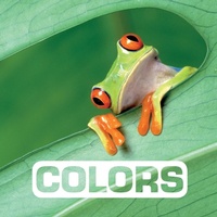 Enlarge image Cover: Colors - Clarion Books