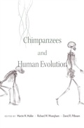 Cover: Chimpanzees and Human Evolution - Harvard University Press