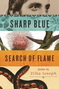 Enlarge image Cover: Sharp Blue Search of Flame - Wayne State University Press