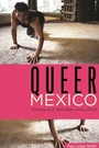 Cover: Queer Mexico - Wayne State University Press