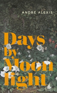 Enlarge image Cover: Days by Moonlight - Coach House Books