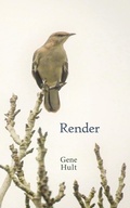 Cover: Render - Brighten Press