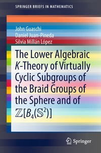 Abbildung von: The Lower Algebraic K-Theory of Virtually Cyclic Subgroups of the Braid Groups of the Sphere and of ZB4(S2) - Springer