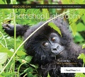 Bild: Focus On Photoshop Lightroom - Routledge