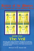 Cover: The Veil - MetaSyn Media
