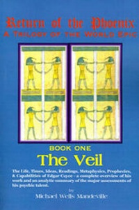 Enlarge image Cover: The Veil - MetaSyn Media