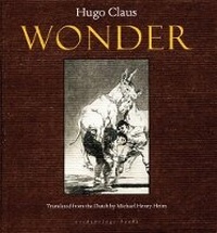 Enlarge image Cover: Wonder - Archipelago Books